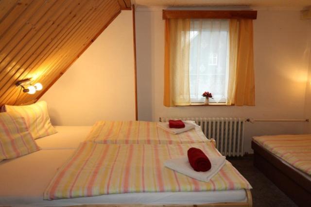 Hotel-Penzion Johanka Haj  ภายนอก รูปภาพ